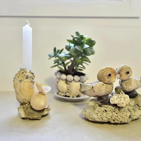 Apartment Marigold Stone House Split